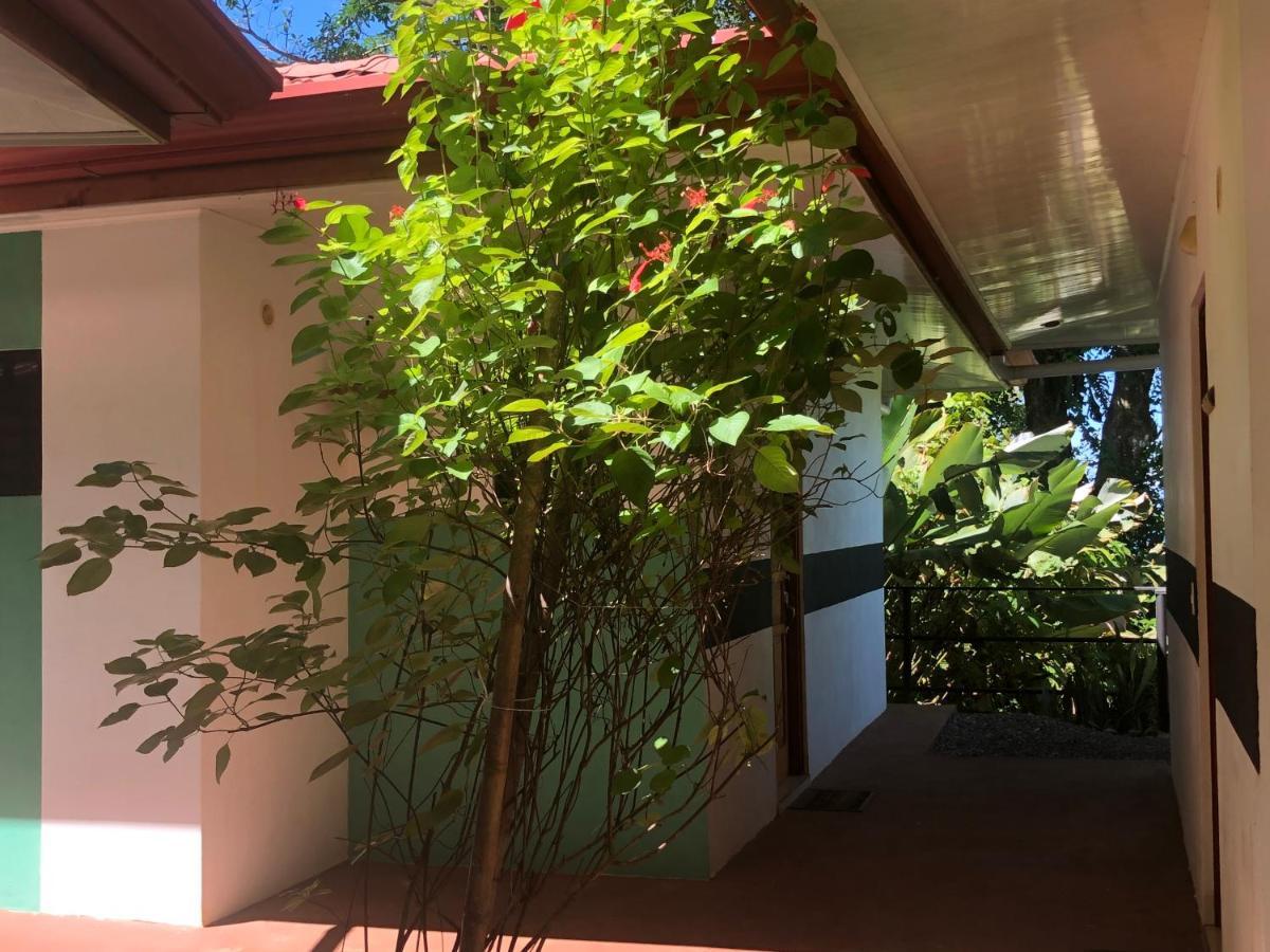 Casa Del Toucan Dominical Extérieur photo