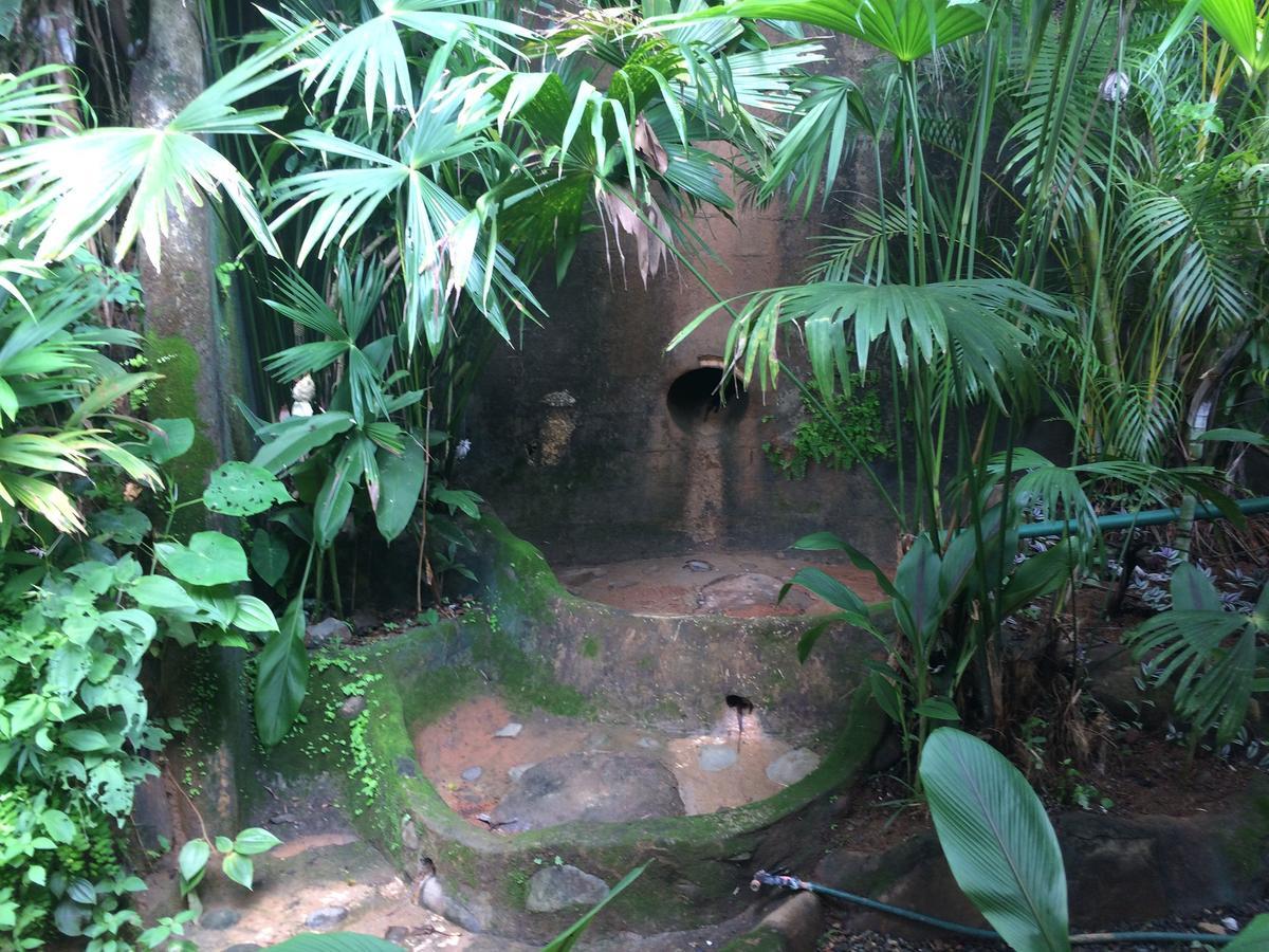 Casa Del Toucan Dominical Extérieur photo