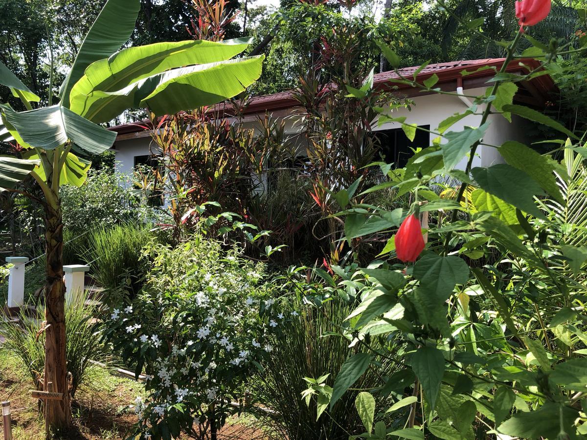 Casa Del Toucan Dominical Extérieur photo